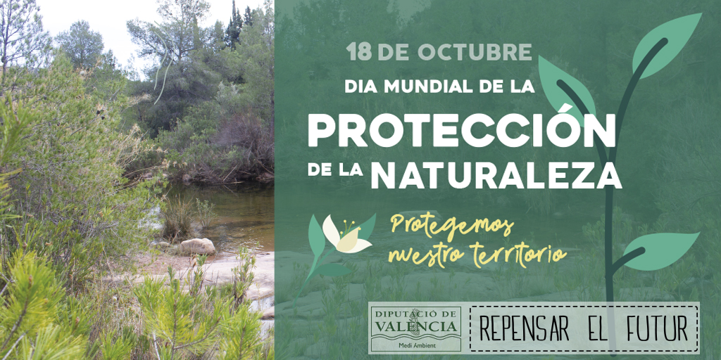 Dia Internacional de Protección de la Naturaleza