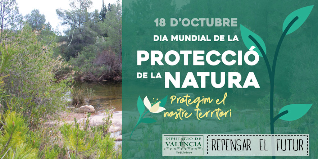 Dia Internacional de Protecció de la Natura