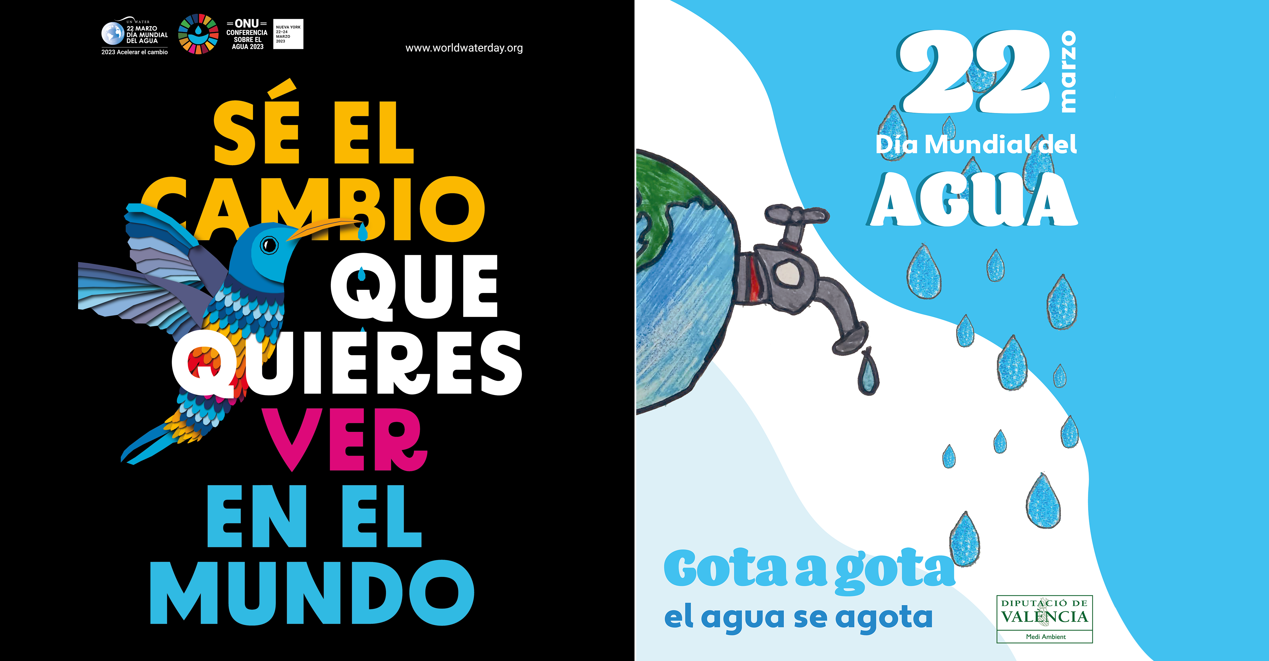 Dia Mundial del Agua 